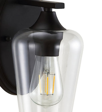 Jayne Iron/Glass Cottage Rustic LED Vanity Light